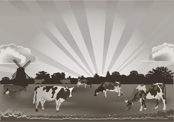 Monochromatyczne ilustracja z krowy na pole — Wektor stockowy