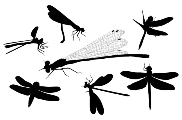 Seven isolated dragonfly silhouettes — Stock Vector