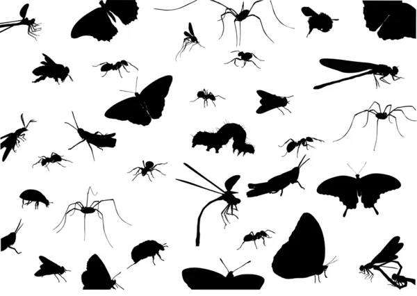 昆虫の黒いシルエット背景 — ストックベクタ