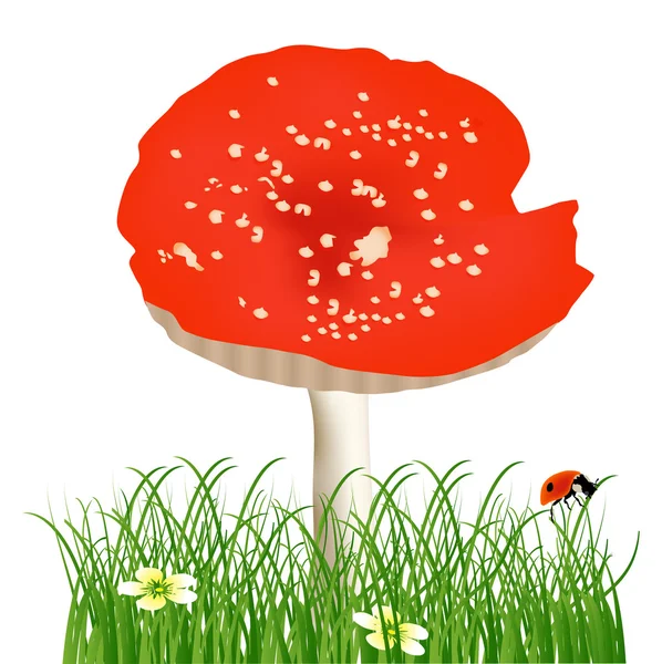 Rouge simple mouche-agaric dans l'illustration de l'herbe verte — Image vectorielle
