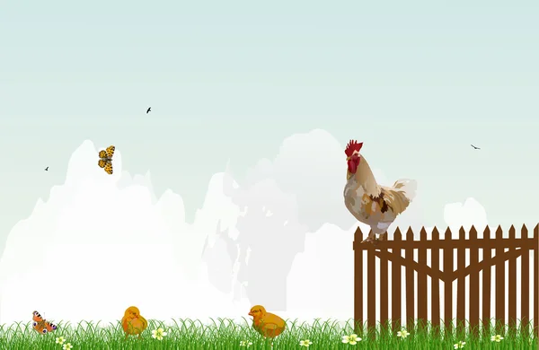 Hühner bei trübem Hintergrund — Stockvektor