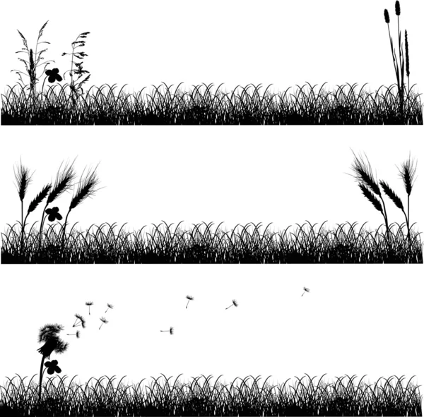 Drie samenstelling met gras silhouetten geïsoleerd op wit — Stockvector