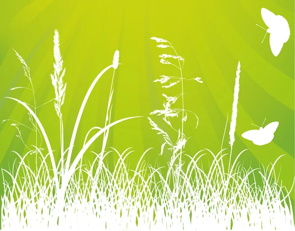 Schmetterlinge und weißes Gras auf grünem Hintergrund — Stockvektor