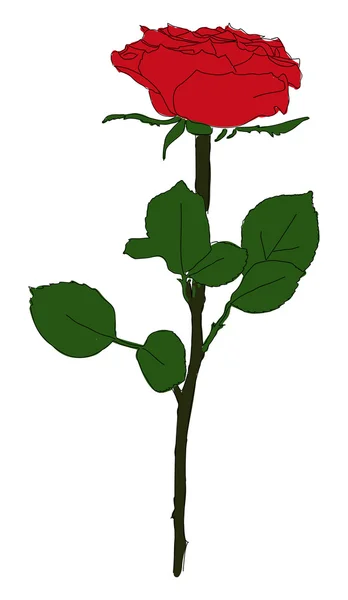 単純な赤いバラの花 — ストックベクタ