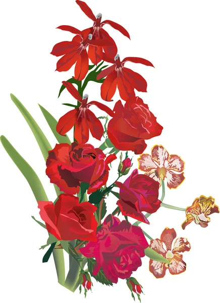 Rosa vermelha e decoração de flores de orquídea — Vetor de Stock