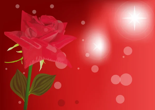 Flor de rosa roja sobre fondo brillante — Archivo Imágenes Vectoriales