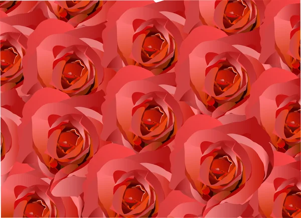 Czerwony kwiat róży ilustracji — Wektor stockowy