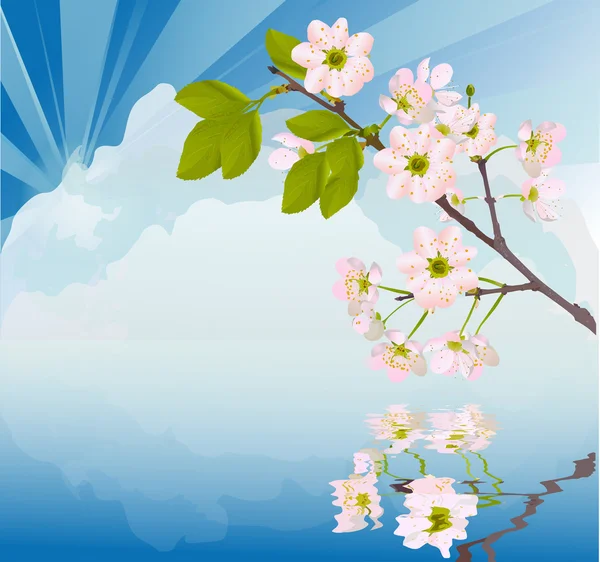 Rosa Kirschbaum Blumen auf blauem Himmel Hintergrund — Stockvektor