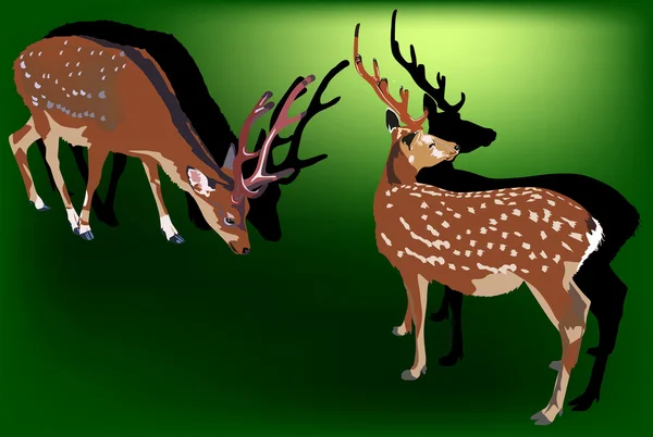 Dwa jelenie sika na zielonym tle — Wektor stockowy