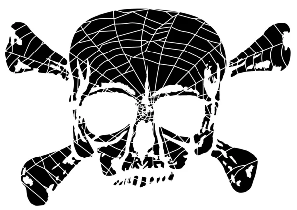 Skull and bones in spider web — Stock Vector
