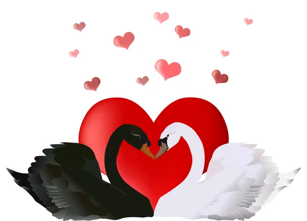 Два лебедя и красные сердца — стоковый вектор