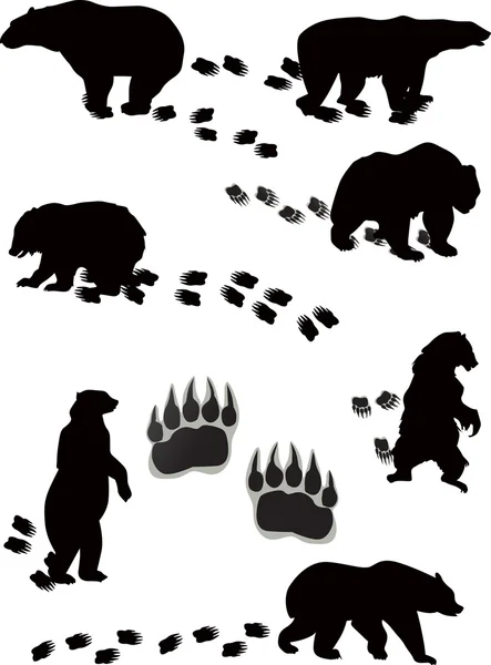 Сім ведмедів і треків ізольовані на білому — стоковий вектор