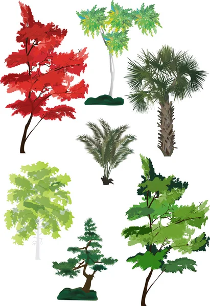Sette alberi isolati su illustrazione bianca — Vettoriale Stock