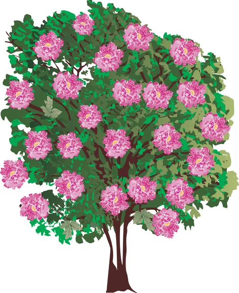 Árvore isolada com grandes flores rosa — Vetor de Stock