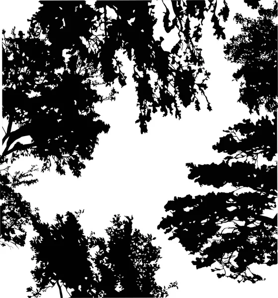 Árboles silueta fondo — Archivo Imágenes Vectoriales