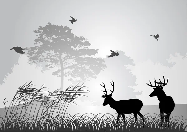 在森林中的两个黑鹿剪影 — 图库矢量图片