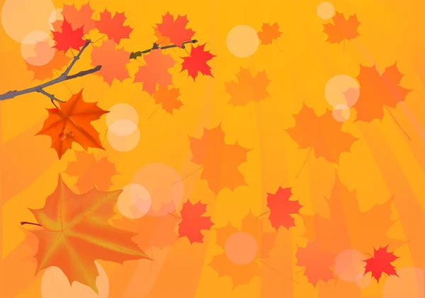 Podzim javor větev na oranžovém pozadí — Stockový vektor