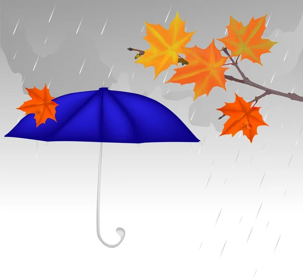 Blue umbrella and maple leaves under rain — Stock Vector