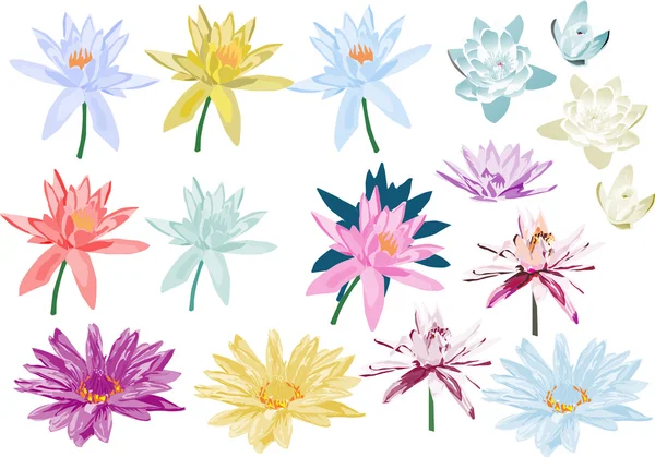 Sixteen color lily flowers — Stock Vector