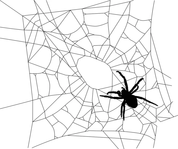 Küçük izole örümcek web — Stok Vektör