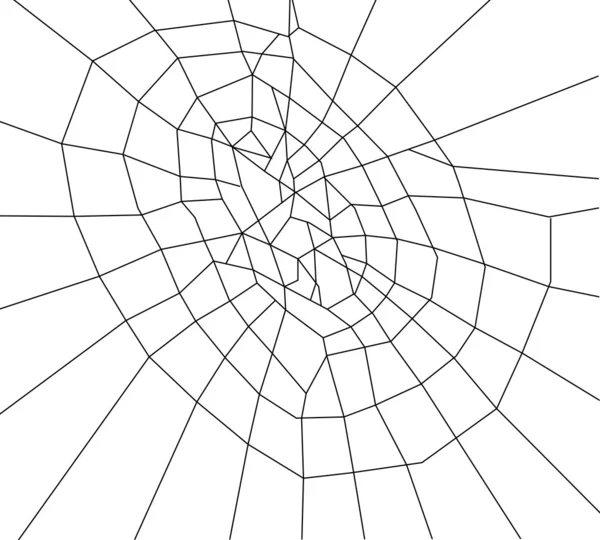 Spinnennetz schwarze Abbildung — Stockvektor