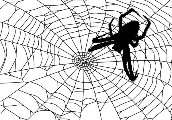 Иллюстрация с большим пауком в паутине — стоковый вектор