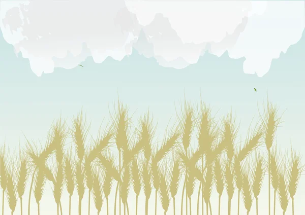 Wheat field under cloud sky — Stock Vector