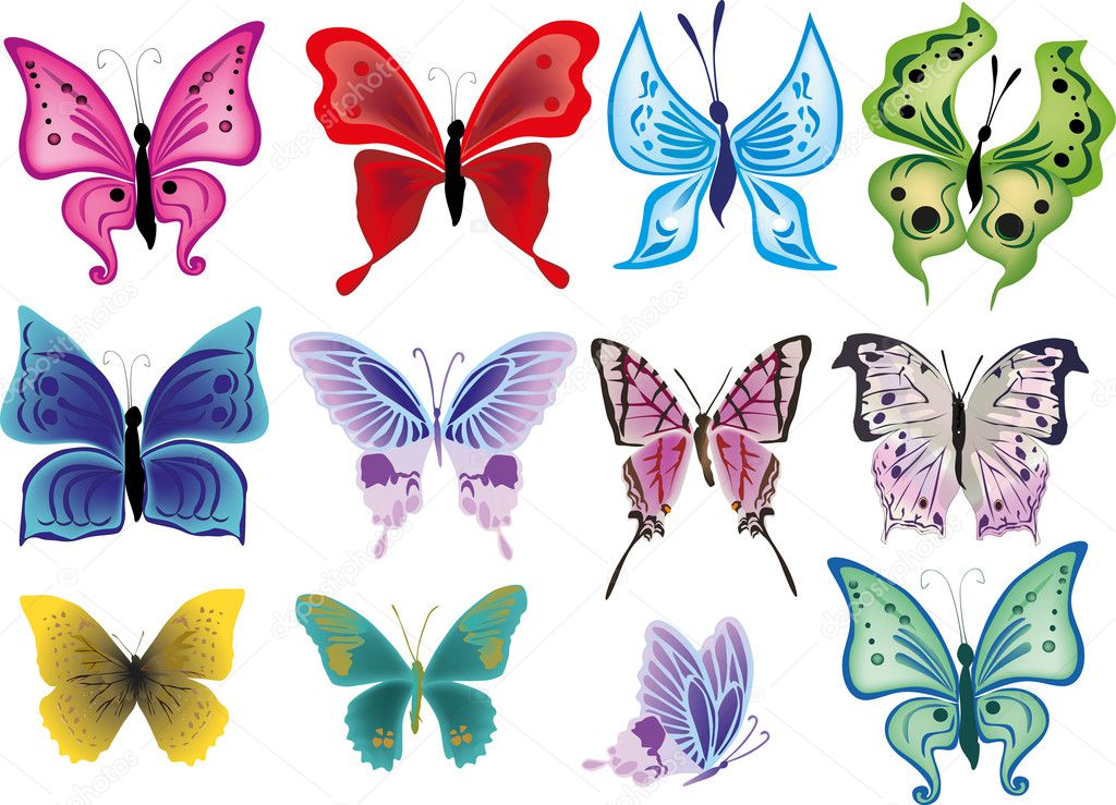 twelve beautifull butterflies isolated on white