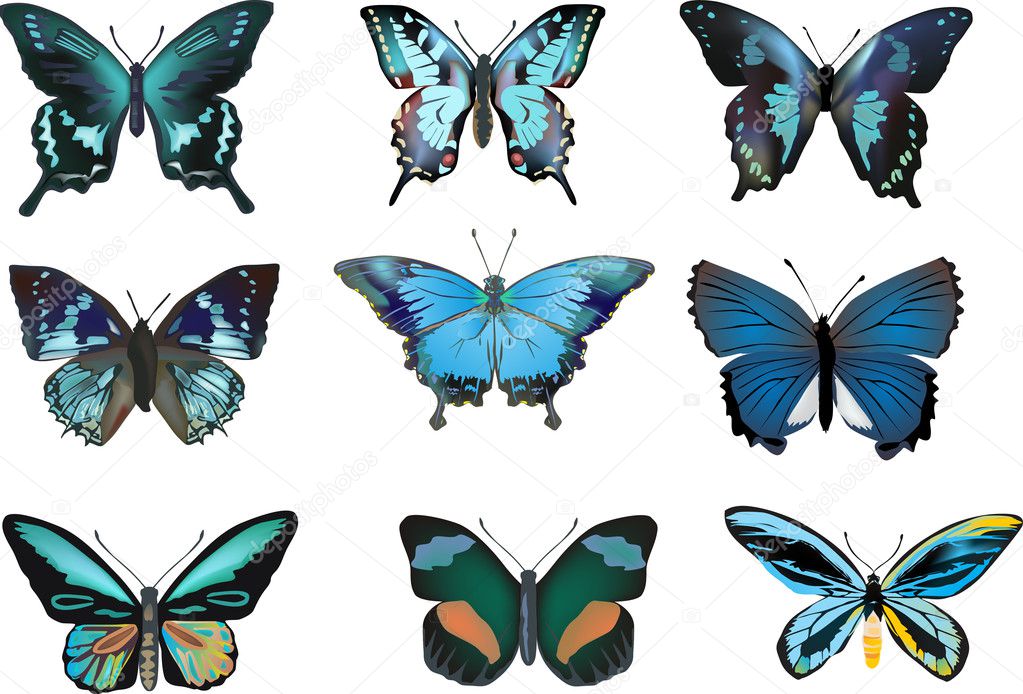 nine isolated blue butterflies
