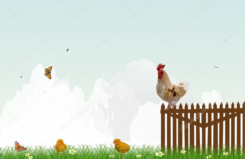 chickens at clouscape background