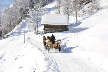 Braunwald, famous Swiss skiing resort clipart