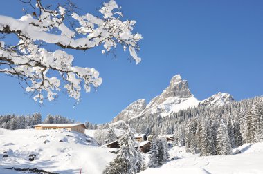 braunwald, ünlü İsviçreli Kayak tesisi