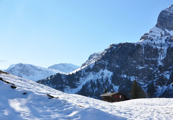 Альпийские пейзажи, Швейцария — стоковое фото