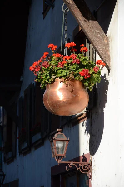 Flowers in the pot on the wall of an old house. Basel, Switzerla — Stock Photo, Image
