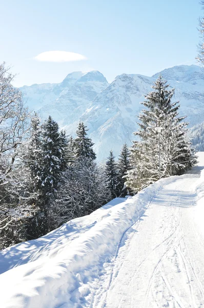 Braunwald, το διάσημο ελβετικό χιονοδρομικό — Φωτογραφία Αρχείου