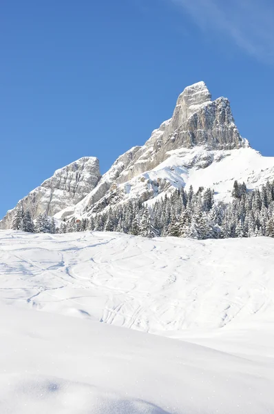 Braunwald，著名的瑞士滑雪度假村 — 图库照片