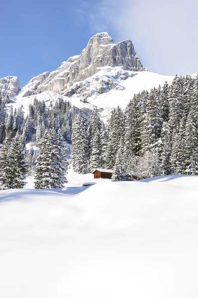 Braunwald，著名的瑞士滑雪度假村 — 图库照片