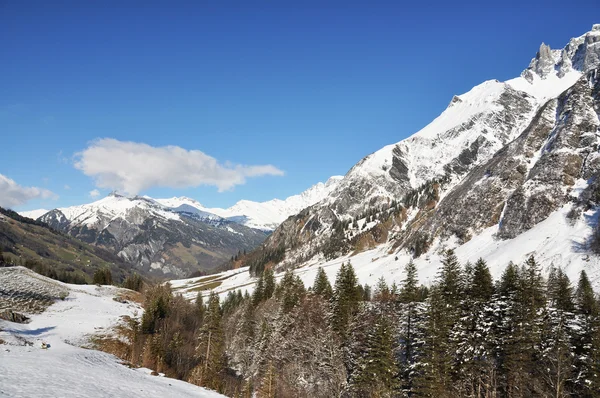 瑞士榆树地区山山脊 — 图库照片