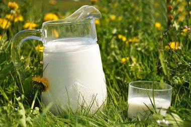 Stock Photo: Jug of milk on the meadow clipart