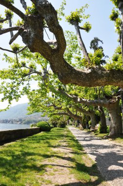 ünlü İtalyan lake como, Tremezzo şehir