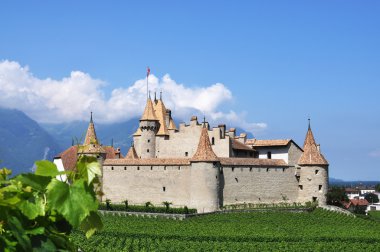 Chateau d'aigle, İsviçre地中海サラダ、大きな黒オリーブ、羊のチーズ