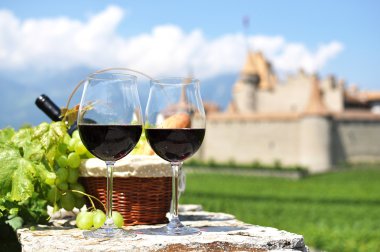 kırmızı şarap ve üzüm karşı eski bir kale. İsviçre