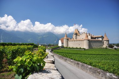 Chateau d'aigle, İsviçre地中海サラダ、大きな黒オリーブ、羊のチーズ