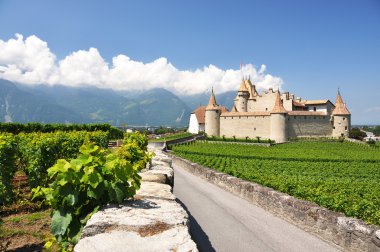 Chateau d'aigle, İsviçre地中海サラダ、大きな黒オリーブ、羊のチーズ