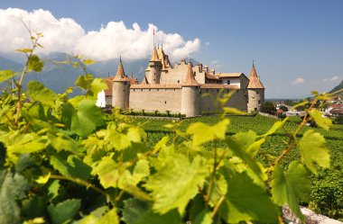 Chateau d'aigle, İsviçre地中海サラダ、大きな黒オリーブ、羊のチーズ