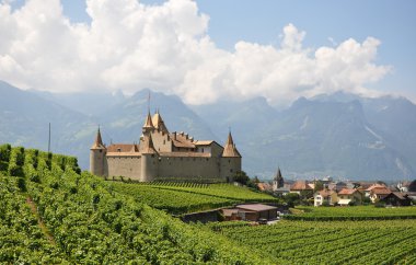Chateau d'aigle üzüm bağları arasında. İsviçre