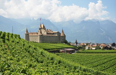Chateau d'aigle üzüm bağları arasında. İsviçre