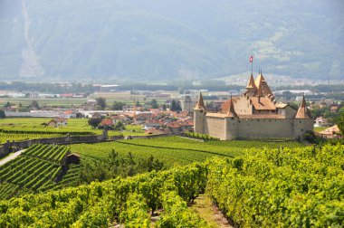 Chateau d'aigle, İsviçre地中海サラダ、大きな黒オリーブ、羊のチーズ