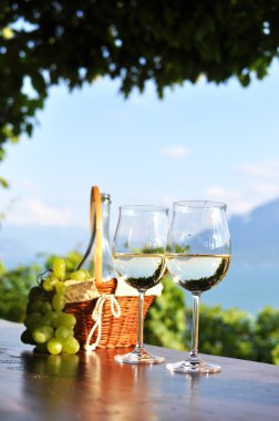 şarap ve üzüm karşı Cenevre Gölü. Lavaux bölge, İsviçre