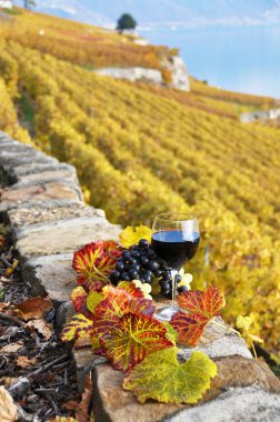 Glass of red wine on the terrace vineyard in Lavaux region, Swit clipart